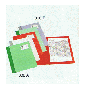 CBE Report File 808A