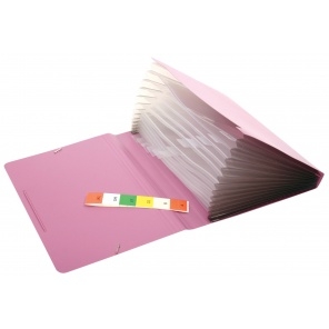 CBE Expanding File F4302