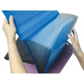 CBE Expanding File F4301