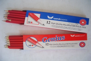 Unicorn HB Pencils