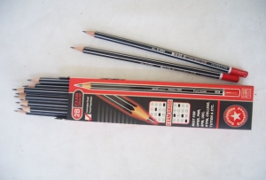 Unicorn Exam Grade 2B Pencils